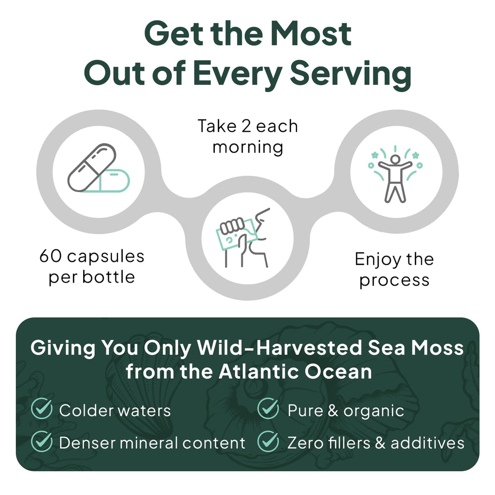 Atlantic Ocean sea moss harvest in pristine waters