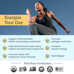 Organifi Shilajit Gummies serving two demonstrates a simple daily dose.