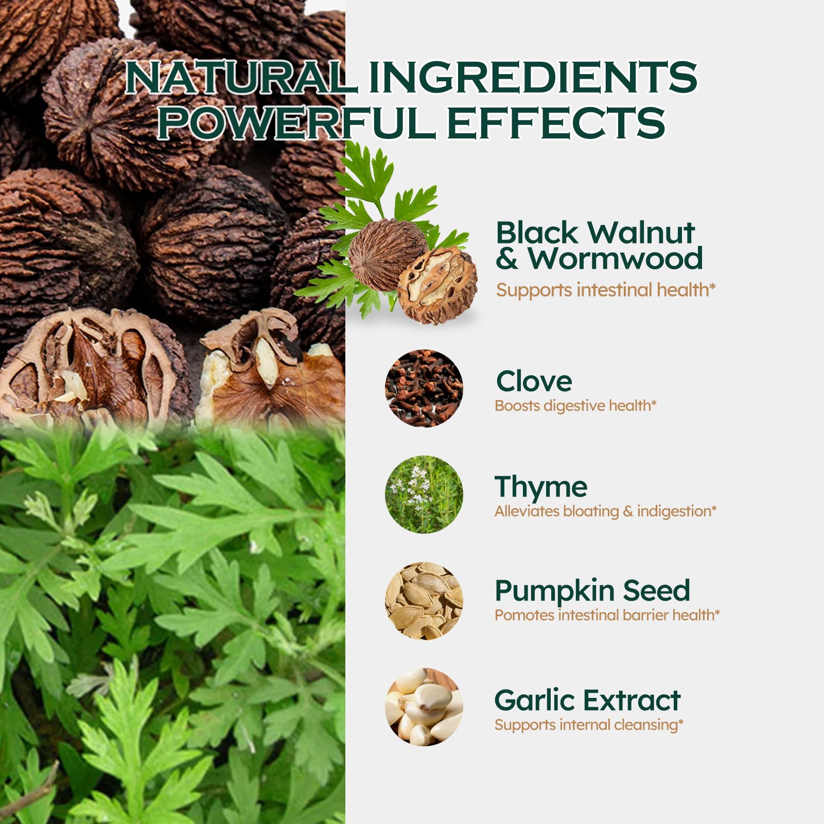 Pumpkin seeds and garlic extract illustrating gut health ingredients
