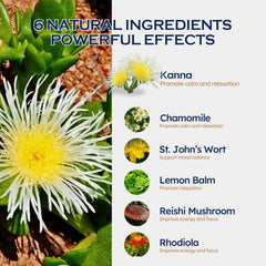 Ingredients: Kanna, Chamomile, St. John’s Wort, Rhodiola, Lemon Balm, Reishi