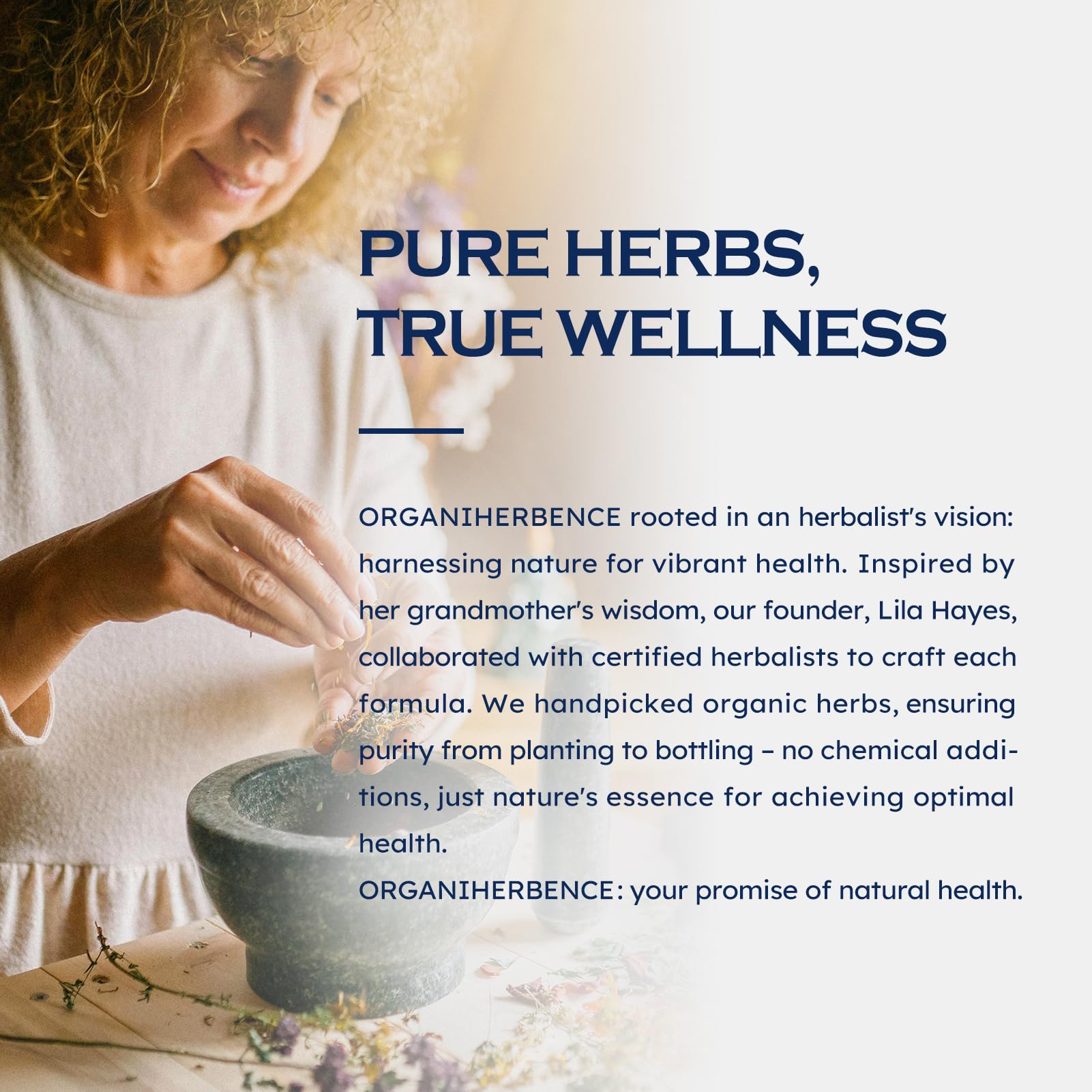 Herbal ingredients arranged on wooden surface