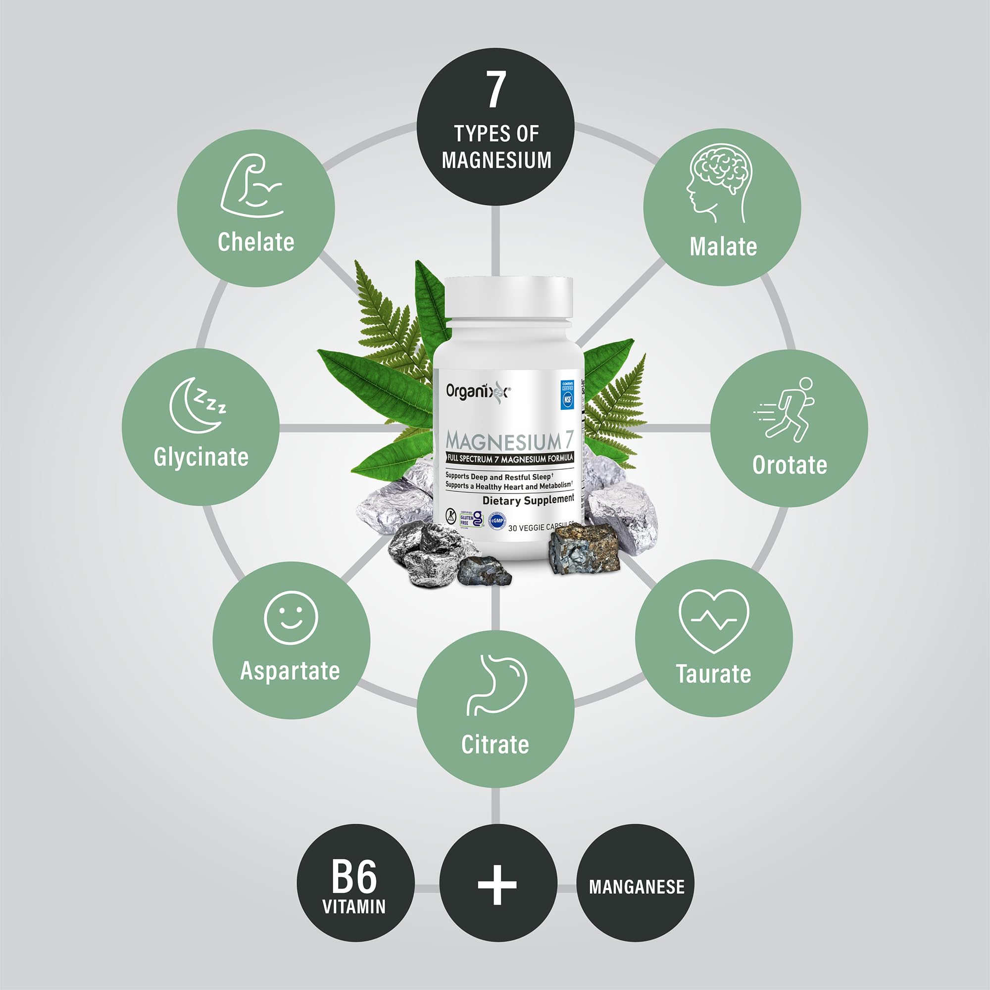 Graphic showing Vitamin B6 and manganese citrate components