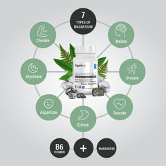 Graphic showing Vitamin B6 and manganese citrate components