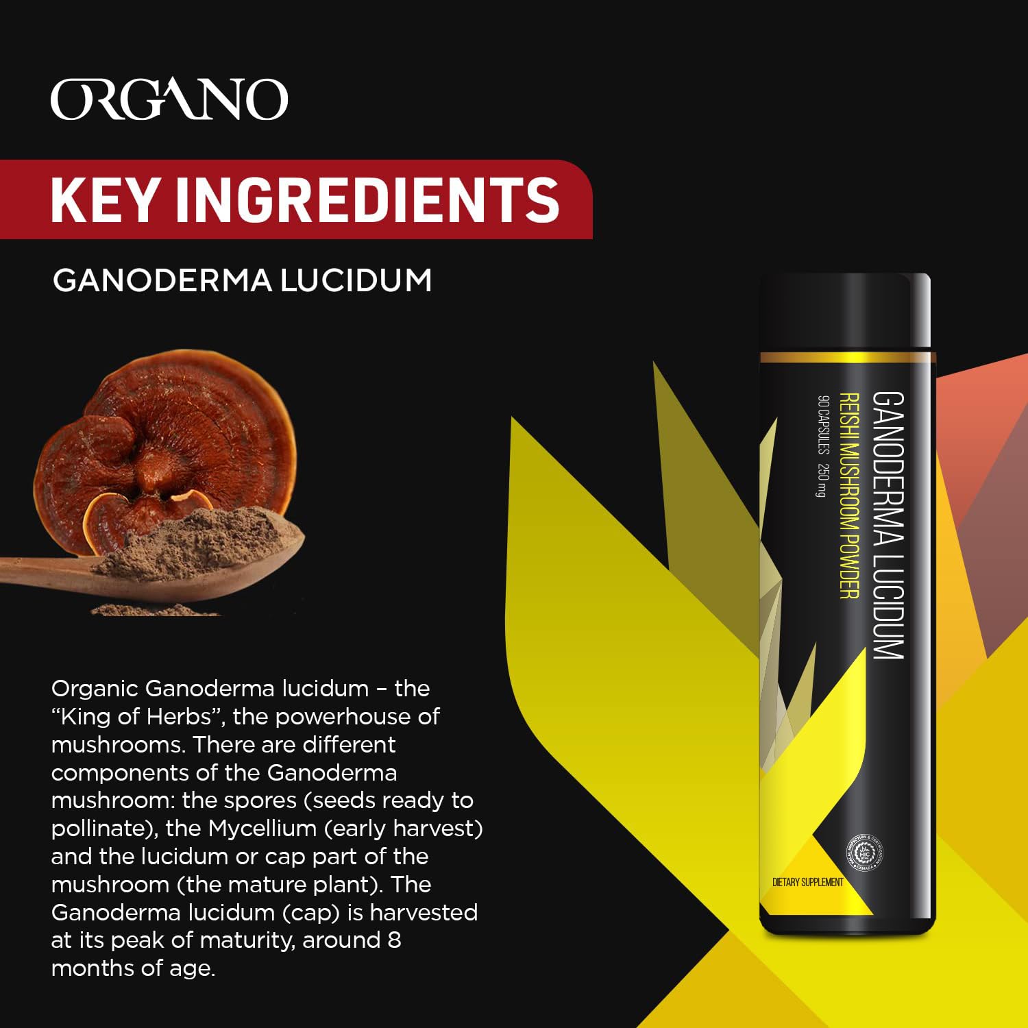 ORGANO Ganoderma Lucidum bottle and label close-up