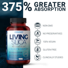 Graphic showing joint and bone support from silica