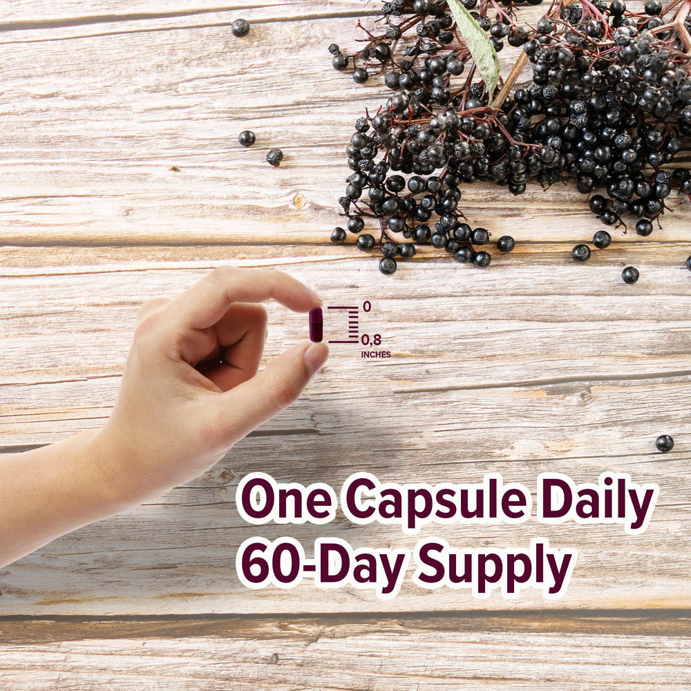 Back label showing supplement facts of ORZAX Elderberry Capsules