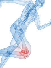 Illustration of Cyplexinol bio-active protein complex