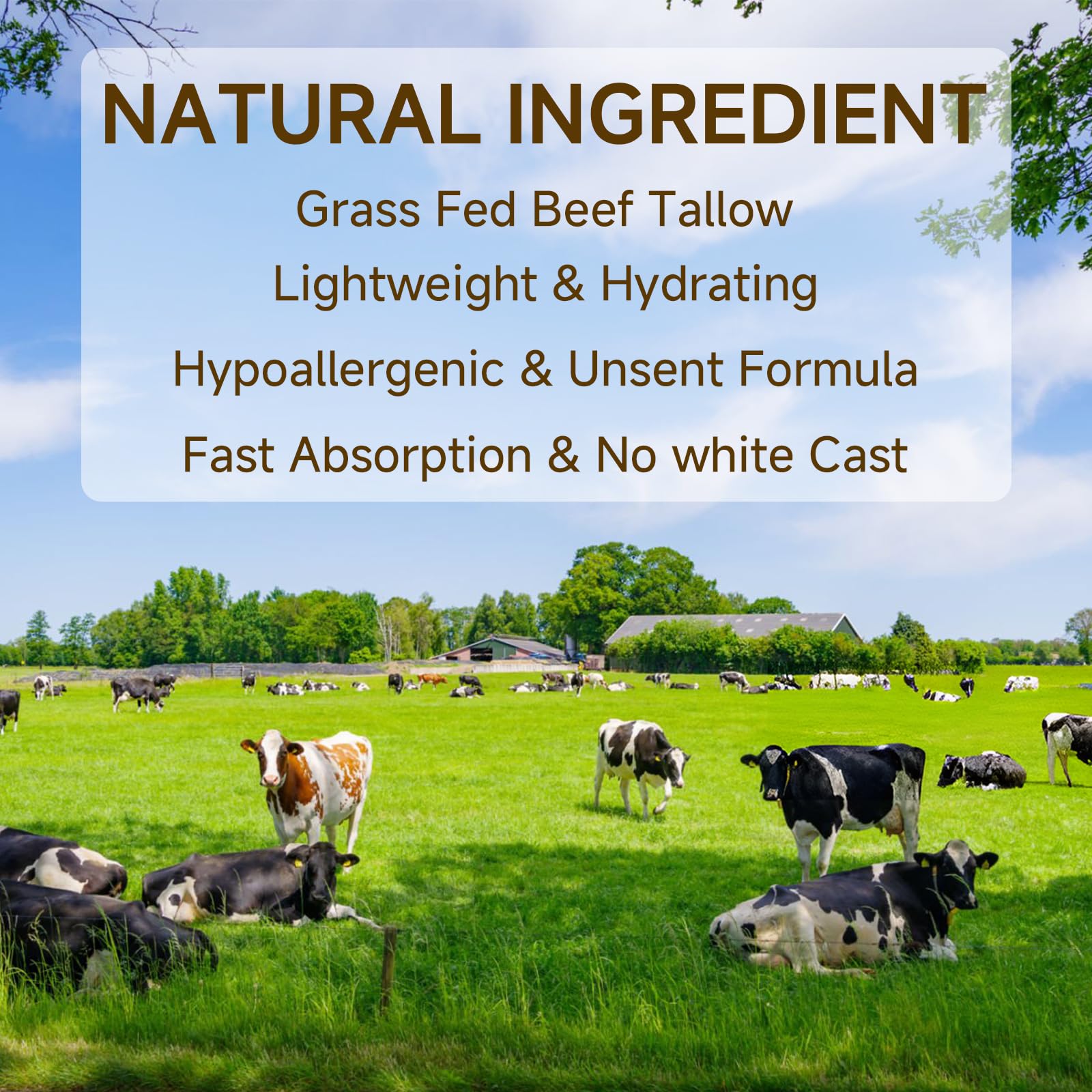 Outccogo Tallow Sunscreen texture-application shows lightweight, quick absorption without greasy residue.