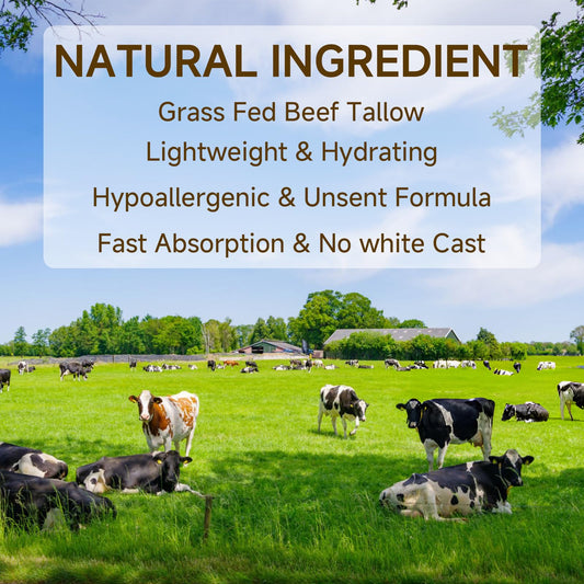 Outccogo Tallow Sunscreen texture-application shows lightweight, quick absorption without greasy residue.