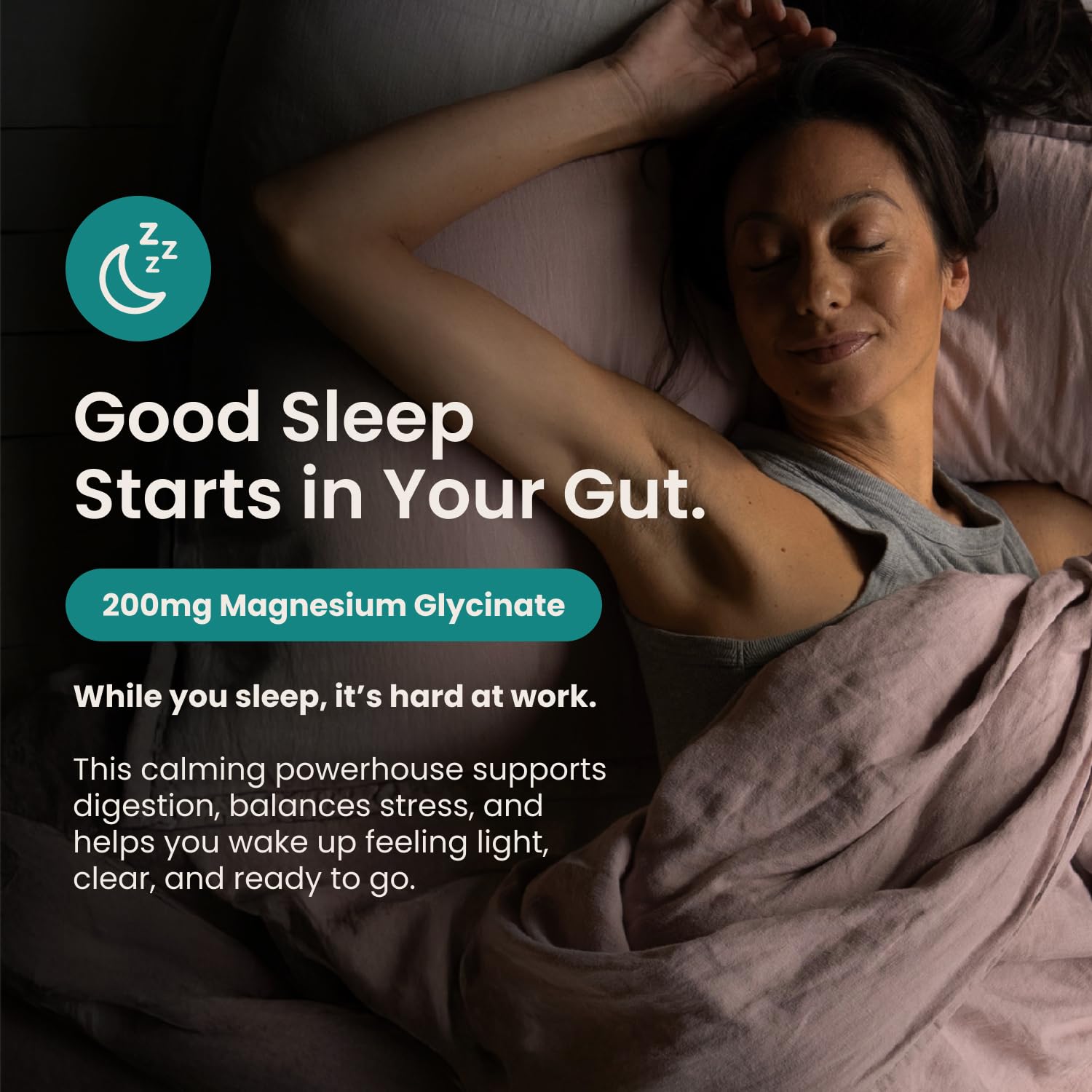 Overnight digestion and morning regularity illustration