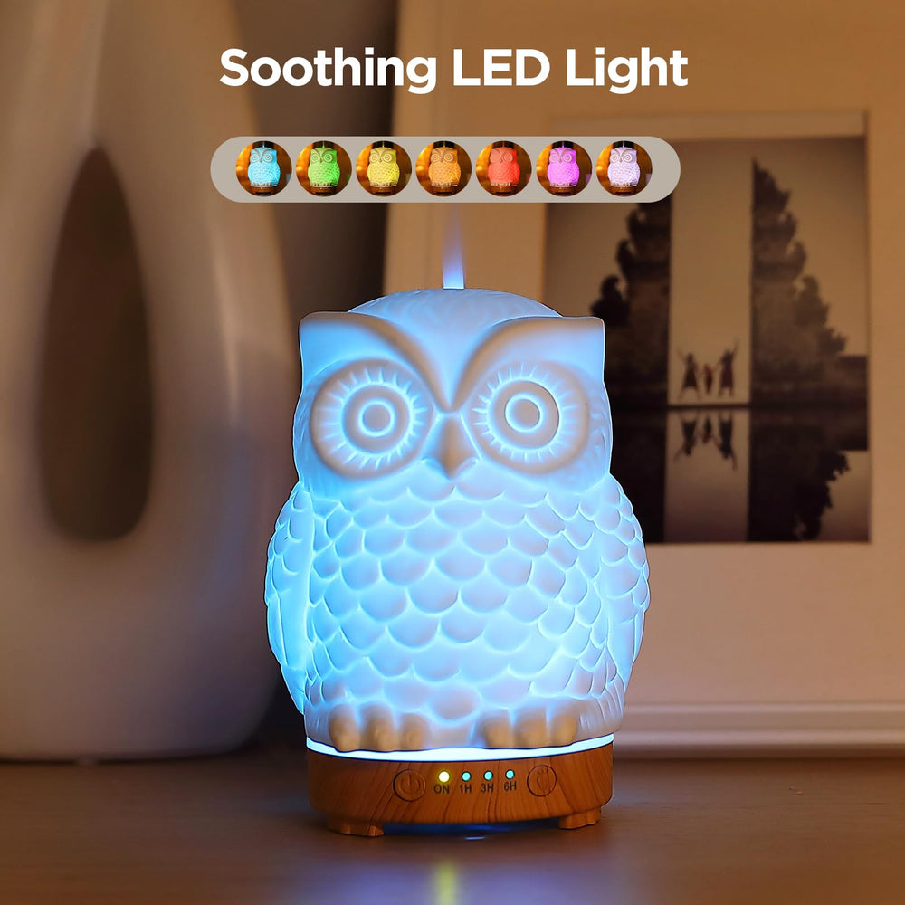Diffuser with color changing LED night light