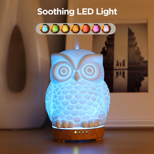 Diffuser with color changing LED night light