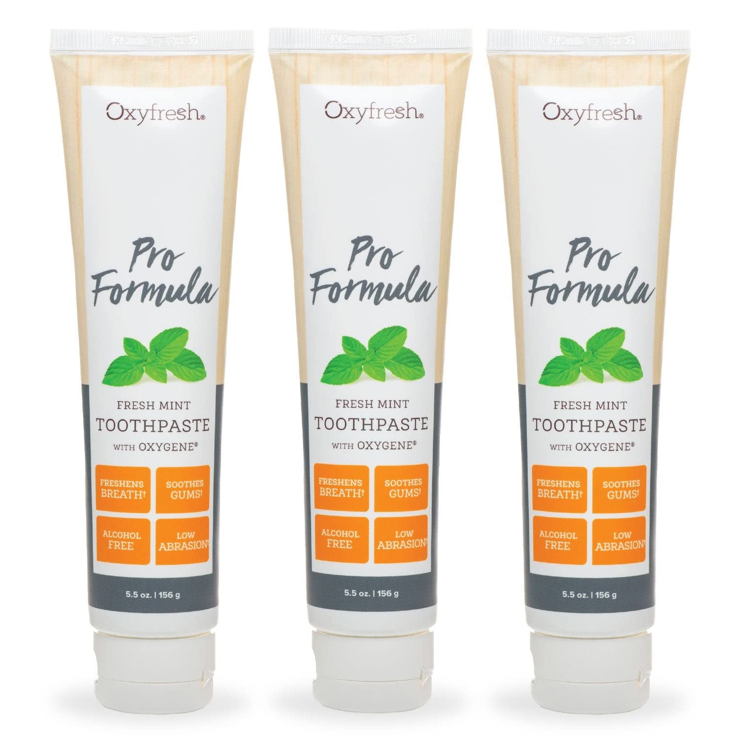 Box and three tubes of Oxyfresh Pro Formula Fresh Mint Toothpaste (3-pack)