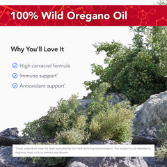 P73 wild oregano plant leaves