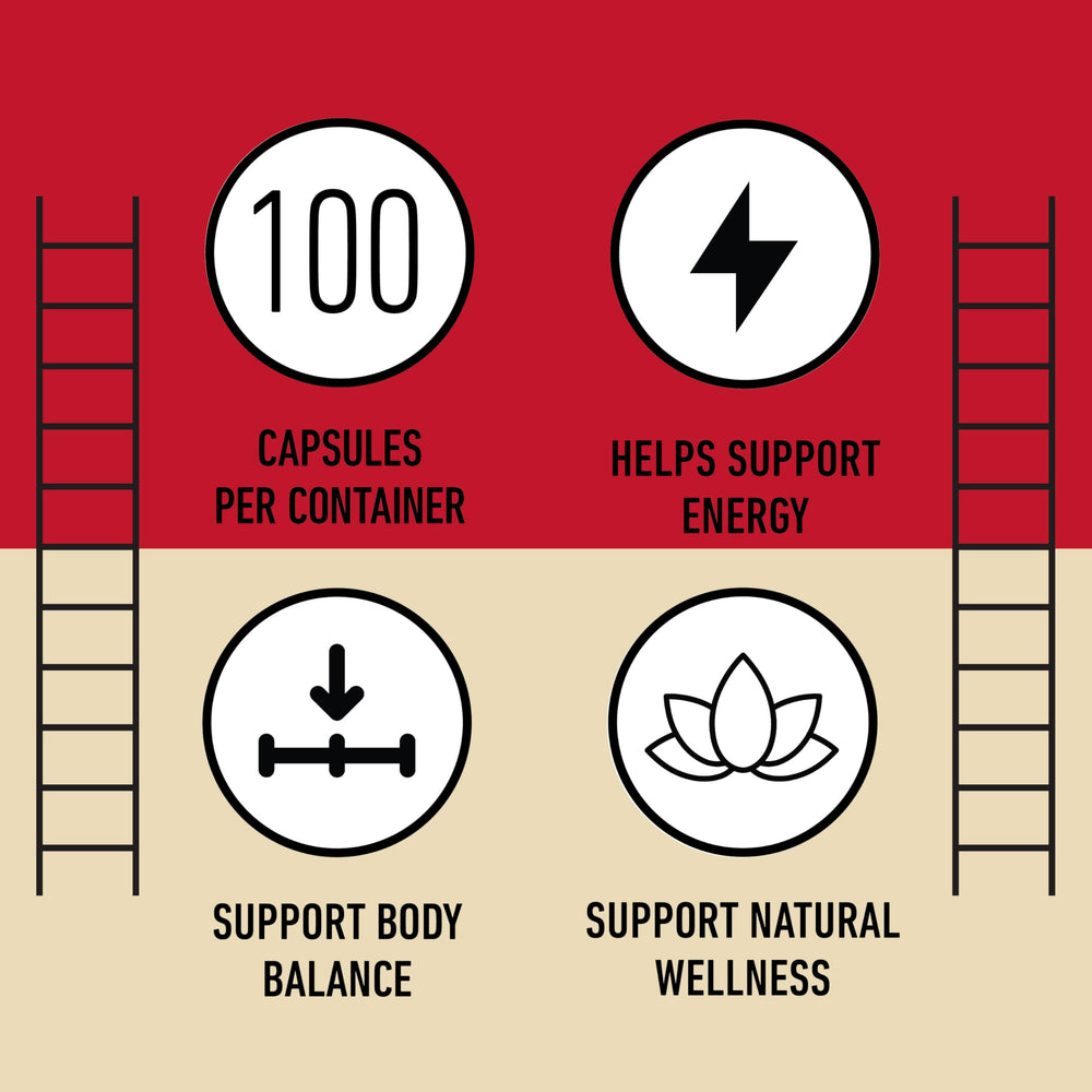 Pack of two bottles of red maca root capsules