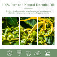 PHATOIL packaging and amber bottle of Ylang Ylang oil