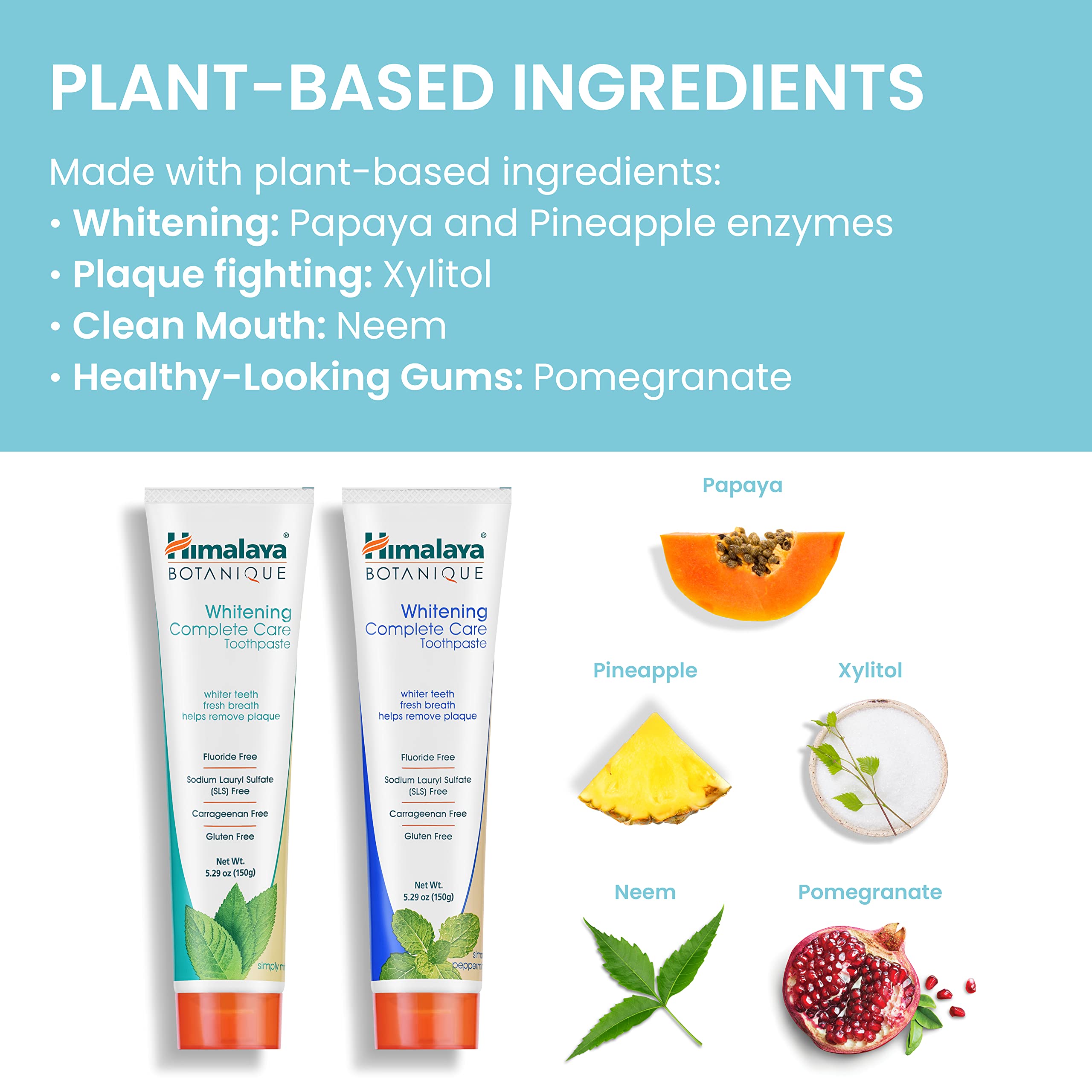 Packaging display showing two 5.29 oz tubes of Himalaya Botanique toothpaste