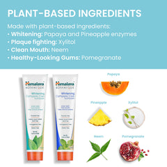 Packaging display showing two 5.29 oz tubes of Himalaya Botanique toothpaste