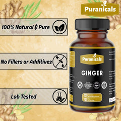 Front and back packaging of Puranicals Ginger Capsules