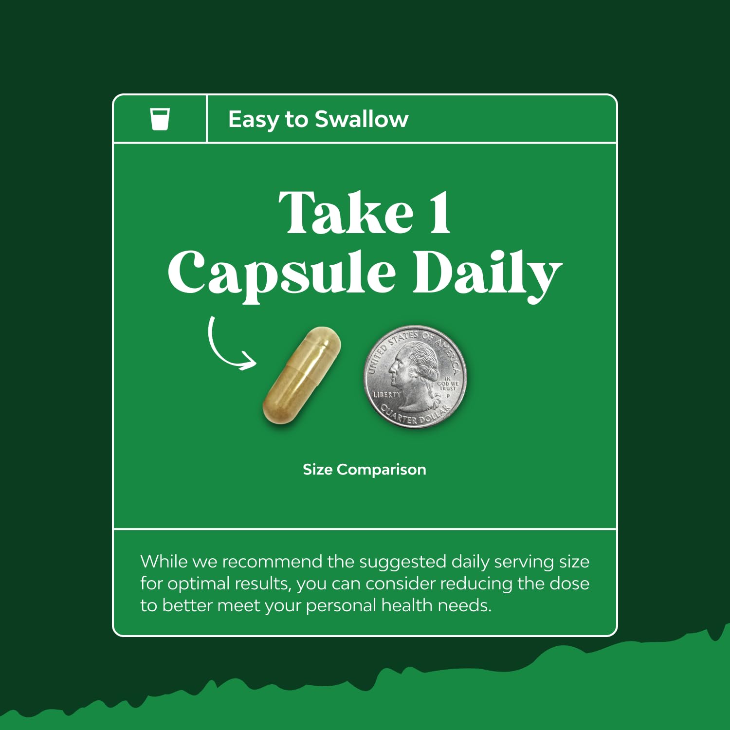 Product packaging label on the Saw Palmetto bottle