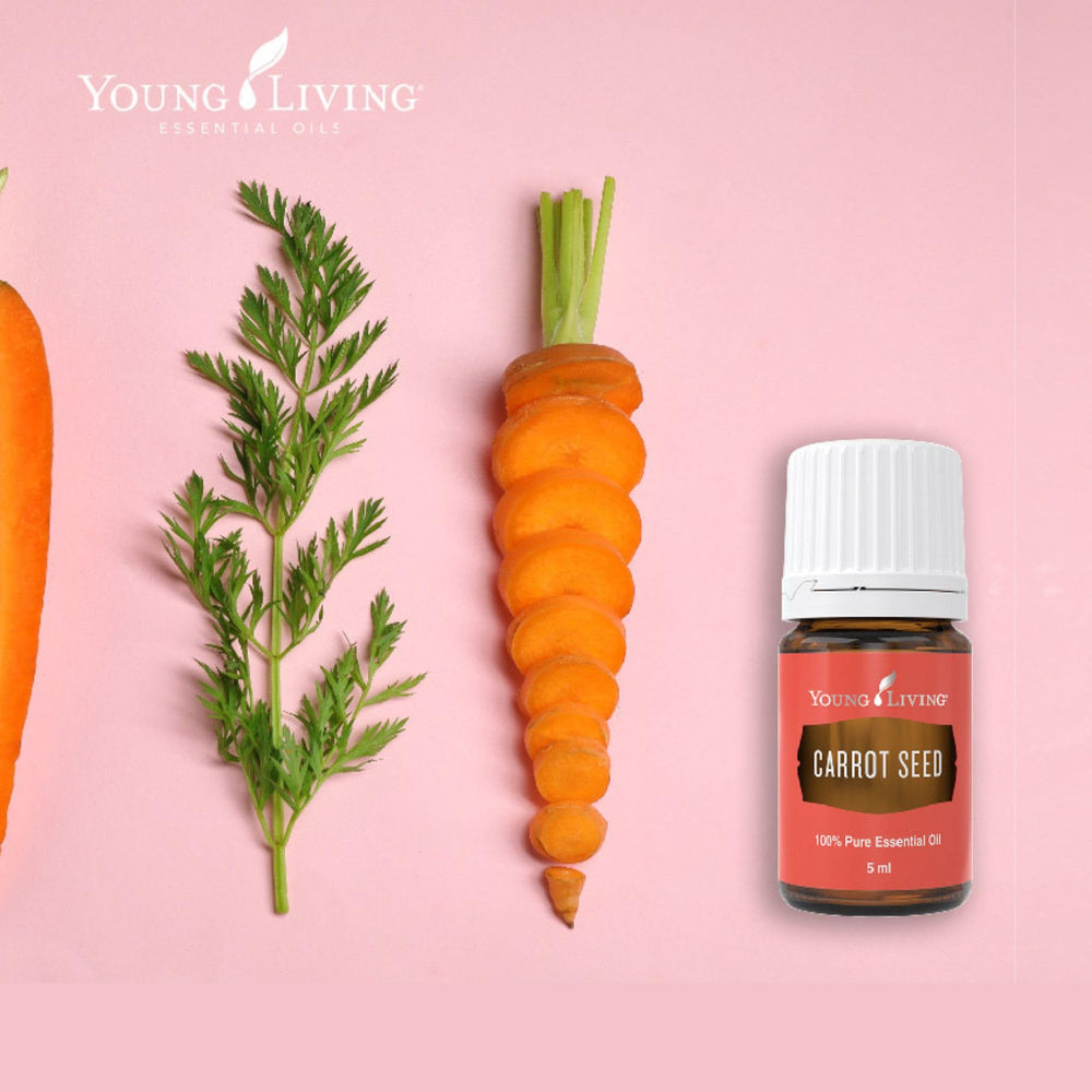 Packaging shot of Young Living Carrot Seed Oil communicates premium quality and trust.