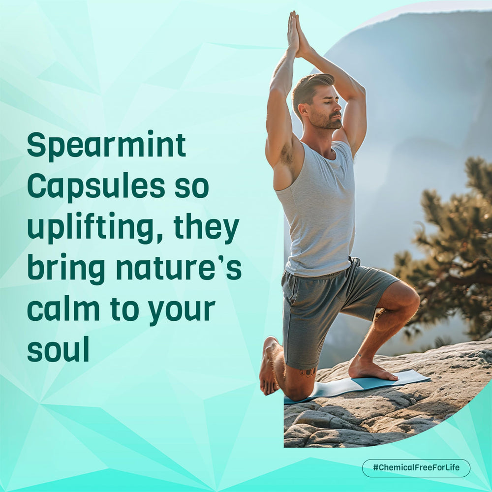 PADMURA Spearmint Capsules packaging with USDA Organic seal