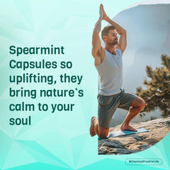PADMURA Spearmint Capsules packaging with USDA Organic seal