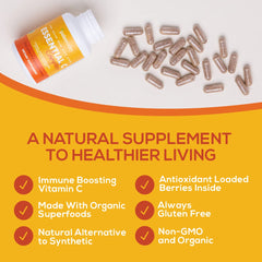 Amla berry content in Paleovalley Essential C Complex, a plant based vitamin C source.