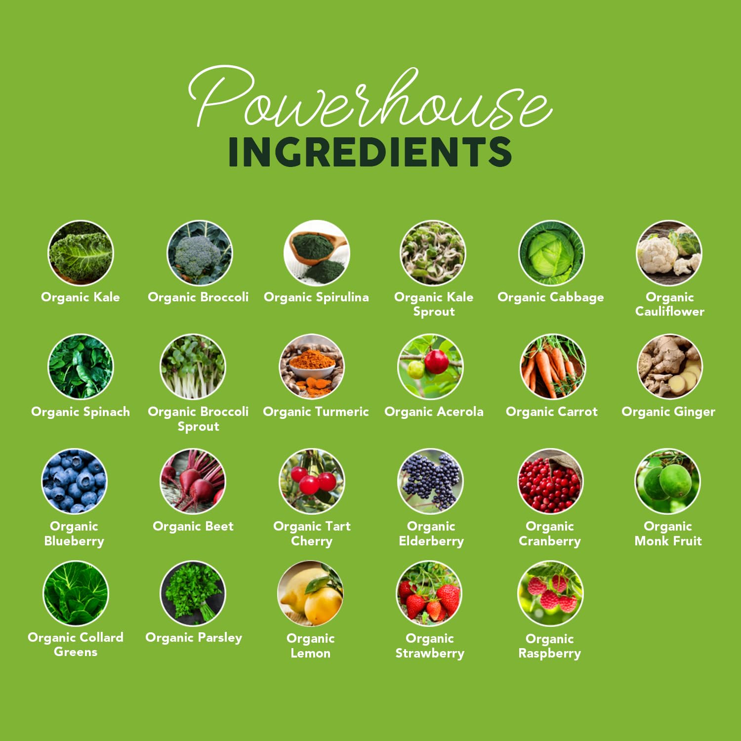 Paleovalley Organic Supergreens no cereal grasses emphasizes gut-friendly ingredients.