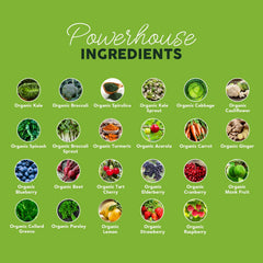 Paleovalley Organic Supergreens no cereal grasses emphasizes gut-friendly ingredients.