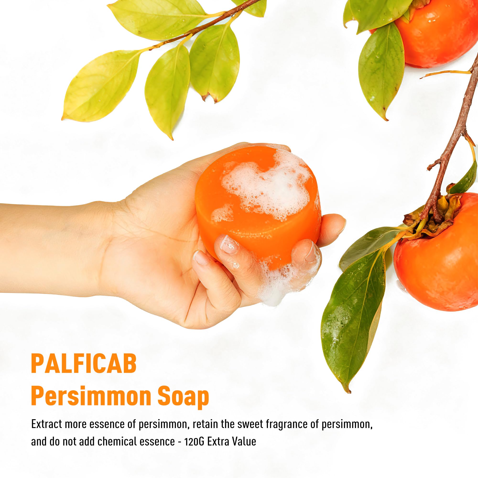 PALFICAB persimmon gift-pack presentation suitable for thoughtful gifts.