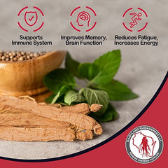 Close-up texture of Panax Notoginseng powder