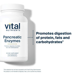 Ingredients panel showing pancreatin enzymes