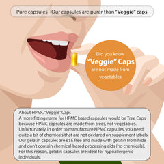 Ingredients and potency of pancreatin 8X