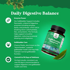 Pancreatin digestive enzymes illustration for gut health