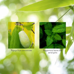 Papain-based digestive support from Nature's Sunshine