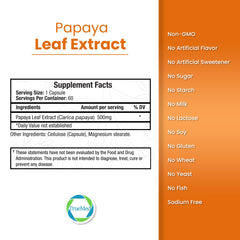 Digestive wellness concept with papaya leaf extract bottle