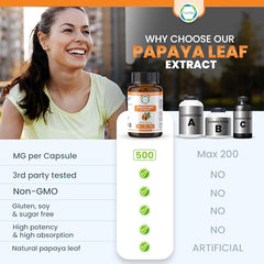 Graphic representing platelet health with papaya leaf extract