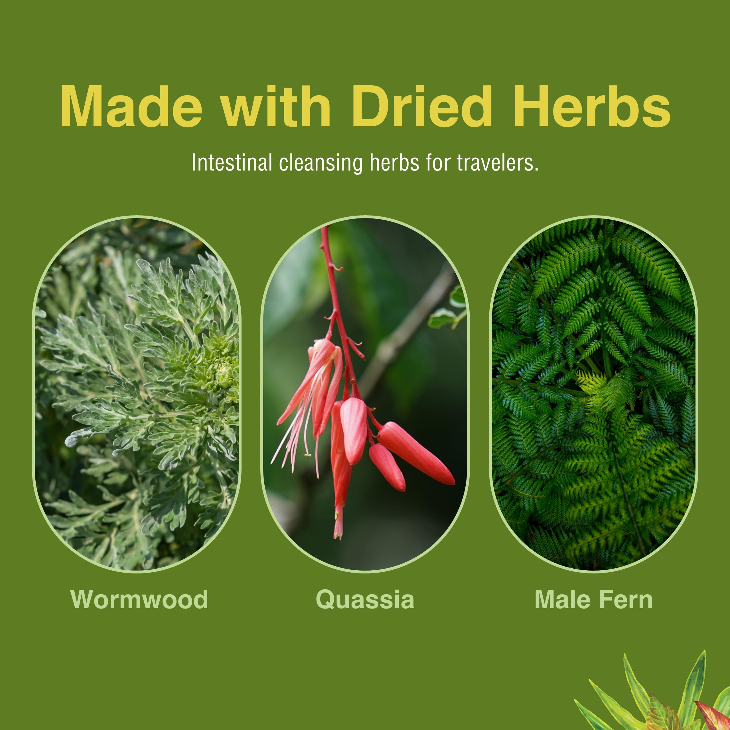 ParaFree product label