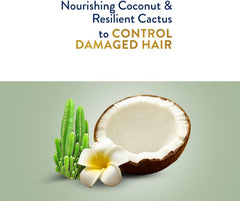 Applying Parachute Gold cream to damp hair for frizz control and softness