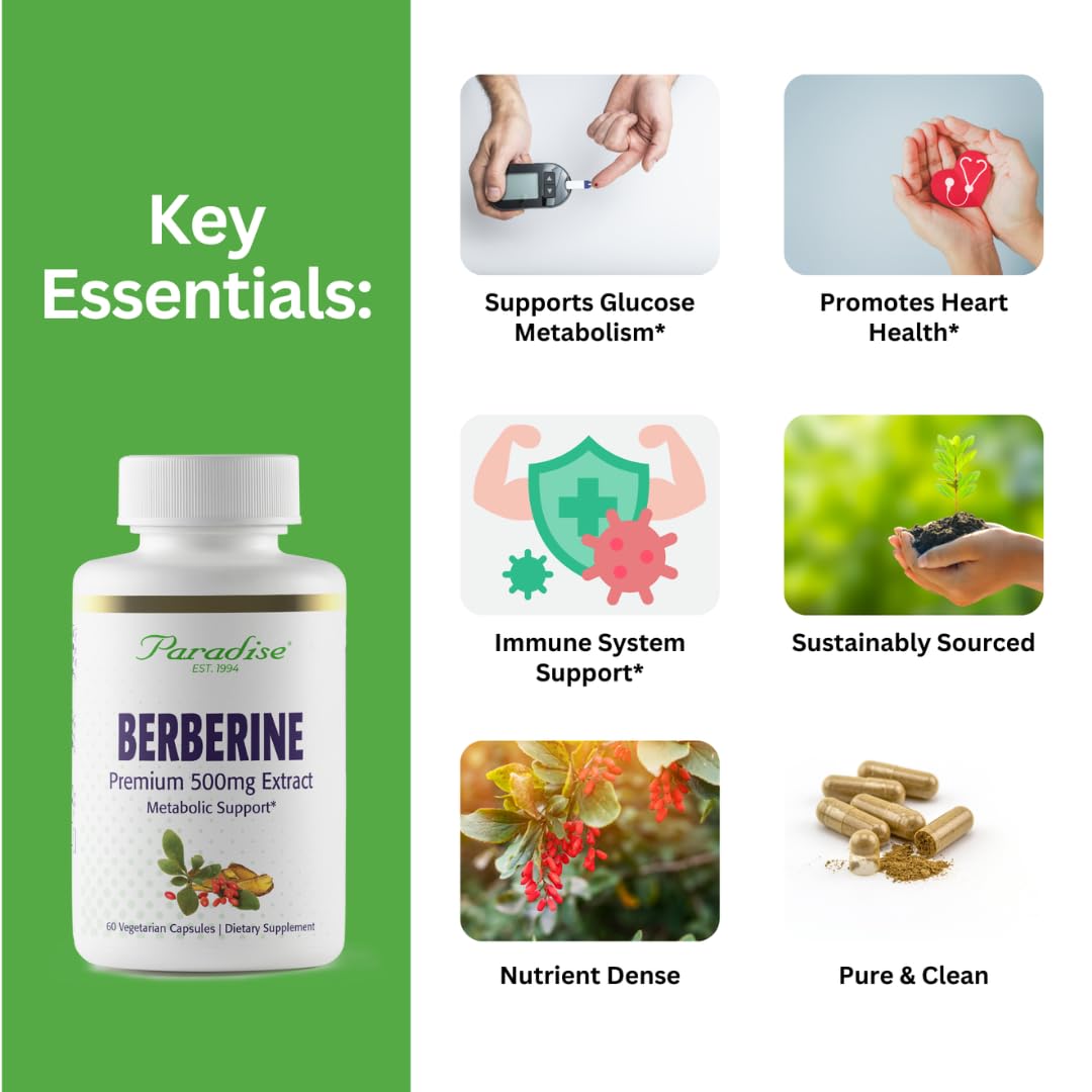 Berberine Extract 500 mg bottle close-up