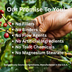 Capsules close-up highlighting vegan and gluten-free formulation