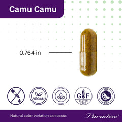 Non-GMO, vegan and gluten-free labeling on Camu Camu capsules