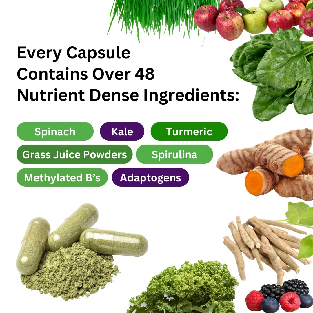 Graphic illustrating 48 organic superfoods in Earth's Blend