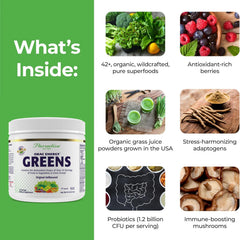Berry blend with greens powder for antioxidant boost