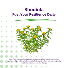 Product packaging for Paradise Herbs Rhodiola Extract 500mg