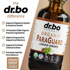 Graphic representing gut health and flora balance with herbal drops