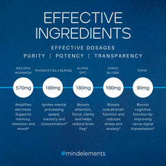 Ingredients: Bacopa Monnieri, Ginkgo Biloba, Alpha GPC, DMAE