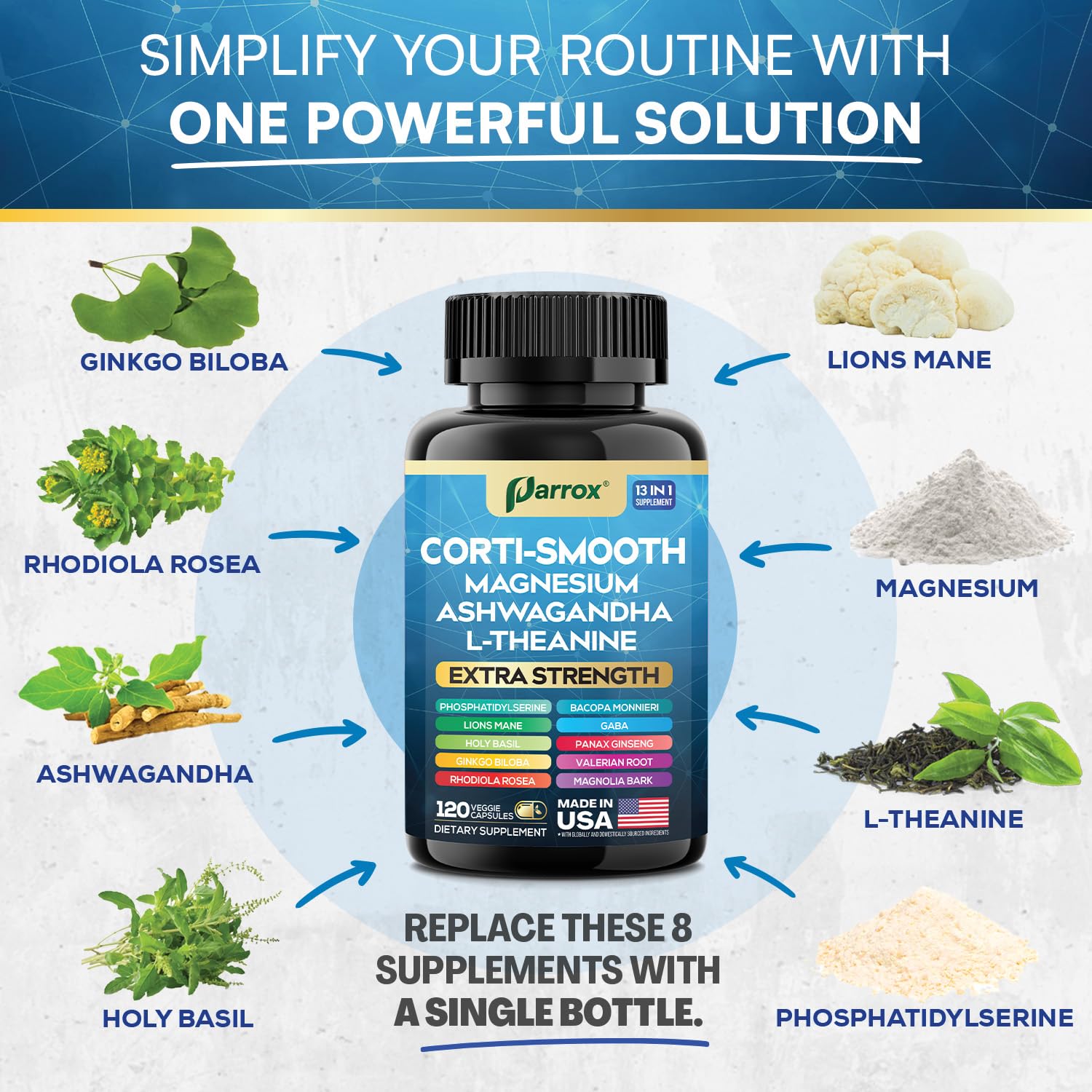 Cognitive support imagery featuring Lion’s Mane and Ginkgo Biloba