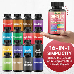 Parrox Ginger 16-in-1 capsules close-up